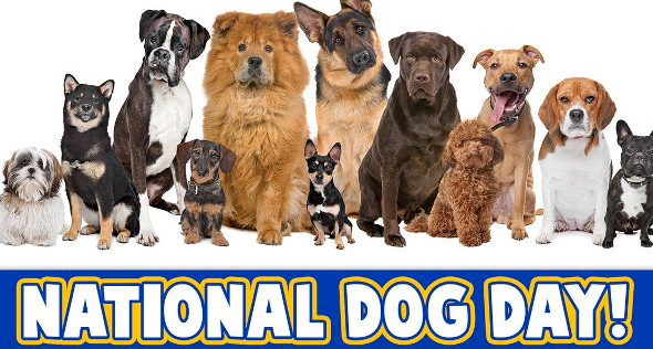 National Dog Day 2020 Quotes, Greetings, SMS, Slogans ...