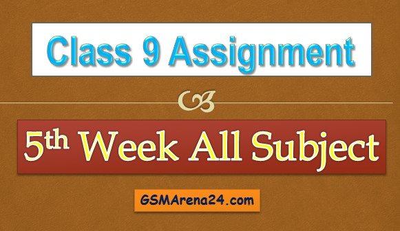 assignment no 5 class 9