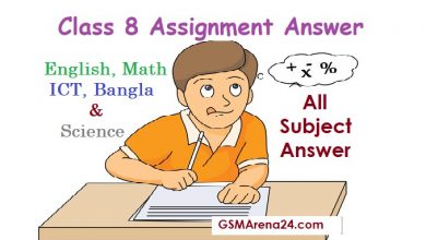 Class 8 Assignment Answer