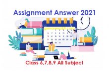 Assignment All Subject Answer