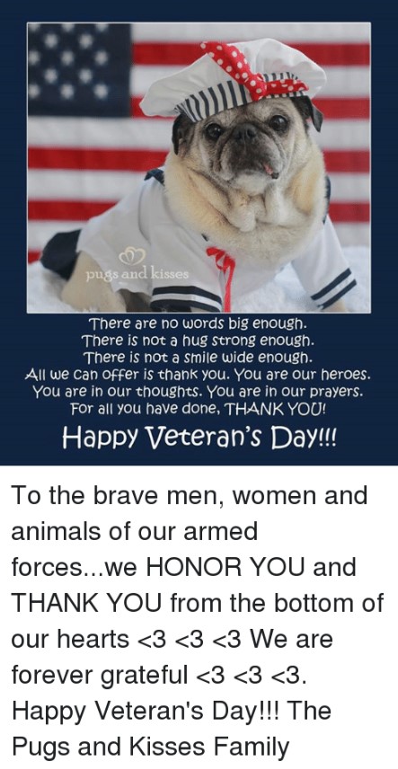 Happy Veterans Day 2022: Quotes, Gift, Messages, Meme, Pic, Wallpaper -  GSMArena