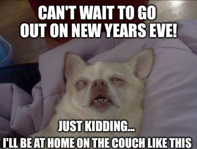 Funny Happy New Year Memes Picture