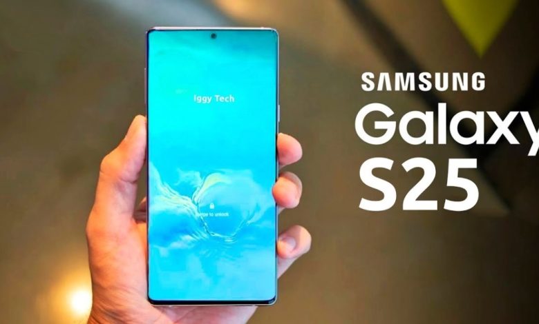 Samsung Galaxy S25 5G